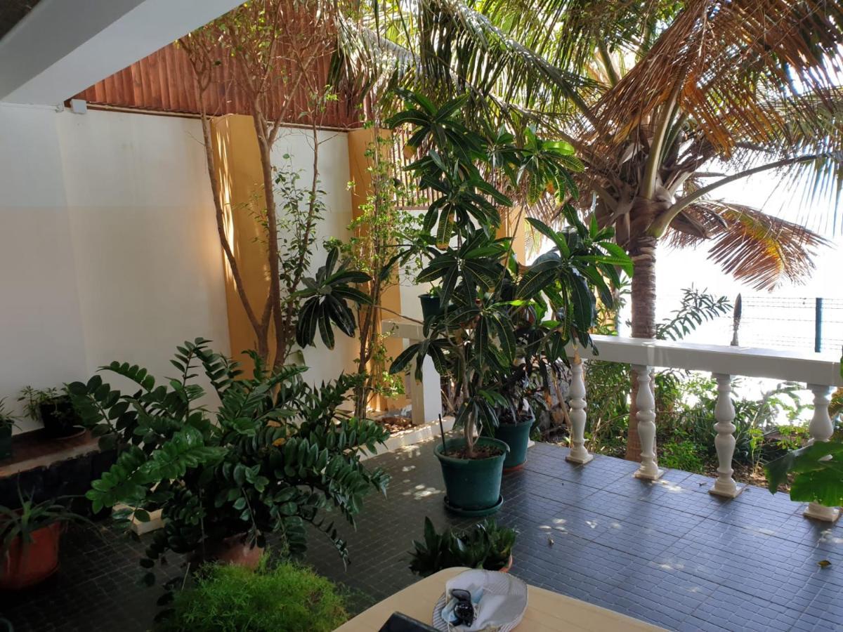 Cactus Guest House Cidade Velha Bagian luar foto